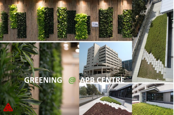 APB Centre